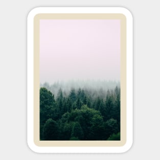 outdoor pines tree Sticker